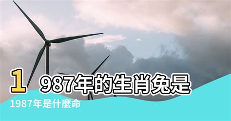 1987年五行屬什麼|1987年属兔是什么命，87年出生五行属什么